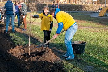 Тысячу деревьев посадят в Подольске