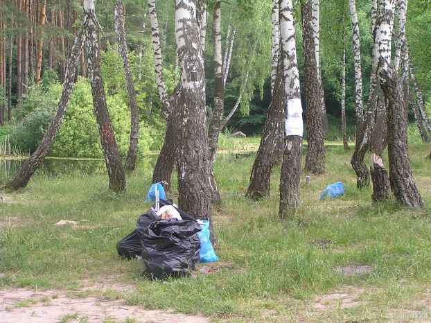 В Новой Москве расчистят все леса