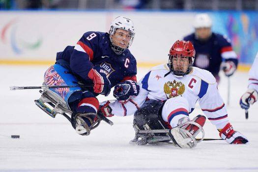 «Феникс» из Подмосковья и сборная РФ по следж-хоккею сыграют 17-18 января.