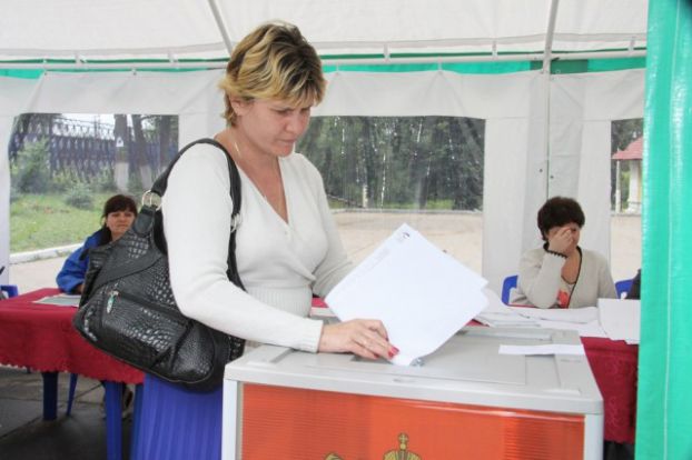 В открытом народном голосовании в Подольске приняло участие 10,73 % избирателей