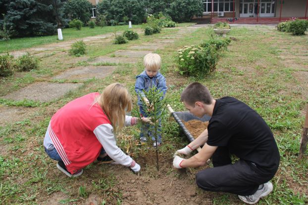 Более 300 деревьев посадили в Подольске на экологическом субботнике