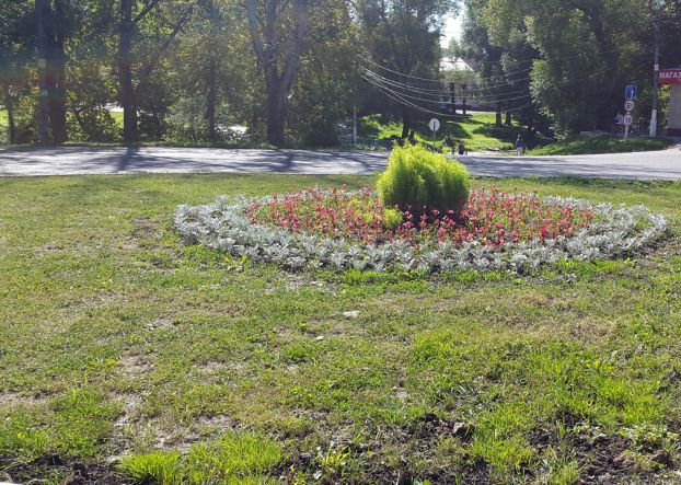 В Рязановском высажены цветы на семи клумбах 
