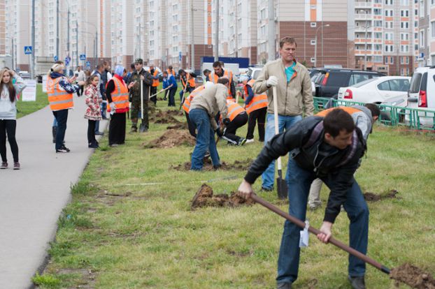 Акция «Наш лес. Посади свое дерево» в Подольске