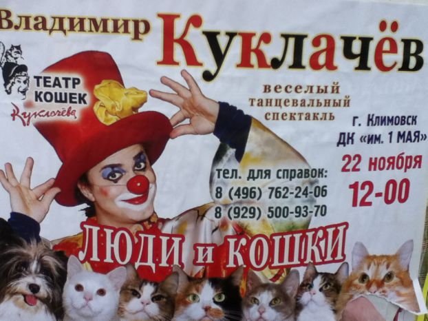Афиша Афиша