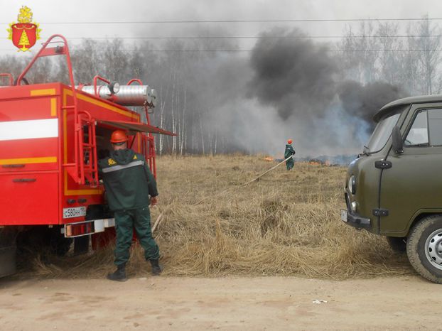 Пожарная тренировка прошла во Львовском участковом лесничестве