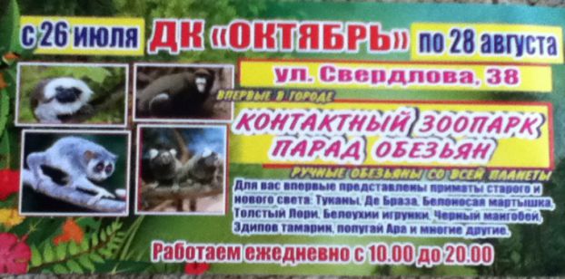 Контактный зоопарк Контактный зоопарк