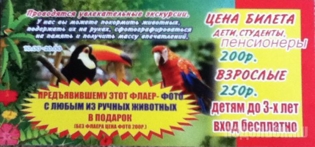 Контактный зоопарк Контактный зоопарк