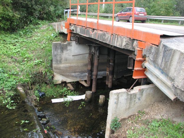 Мост через Петрицу ремонтируют на Гривно