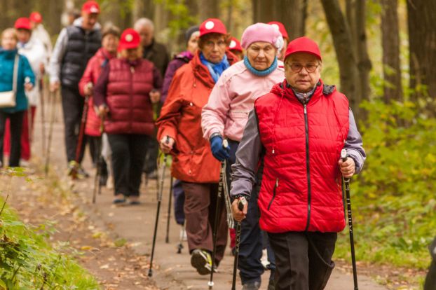 Ветераны Подольска укрепляют здоровье скандинавской ходьбой 