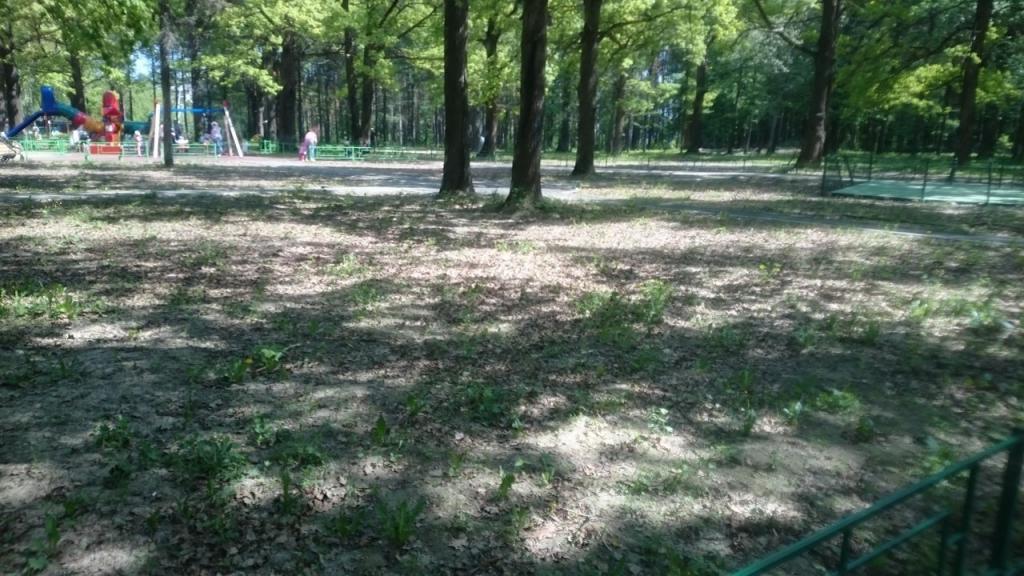 В подольском парке после благоустройства исчезла трава