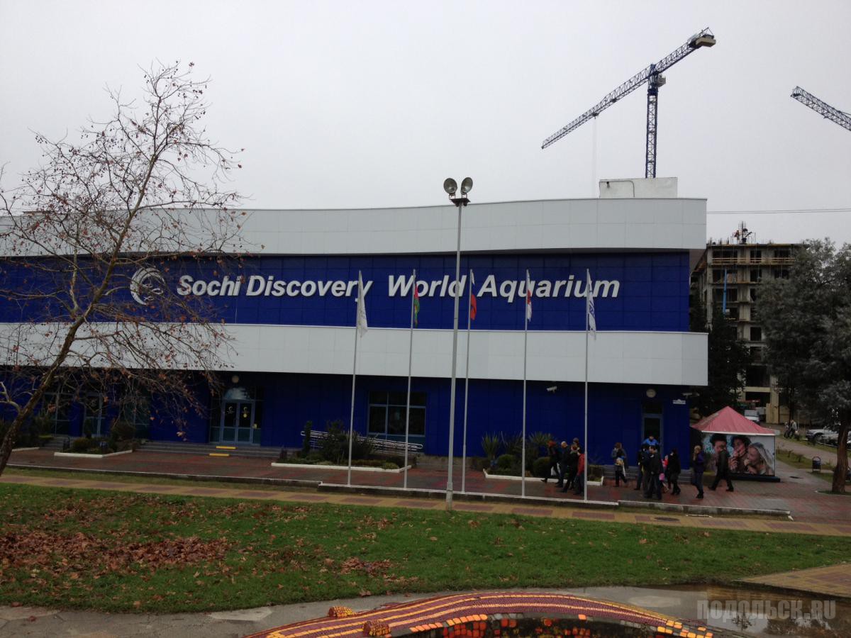 Сочи Discovery World. Сочи, океанариум Sochi Discovery World Aquarium. Sochi Discovery World Aquarium открытки. Краснодарский край Сочи улица Ленина 219а/4 Sochi Discovery World Aquarium. Дискавери ворлд