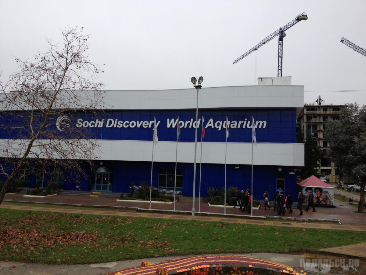 3 discovery world. Сочи Discovery World. Сочи, океанариум Sochi Discovery World Aquarium. Sochi Discovery World Aquarium открытки. Краснодарский край Сочи улица Ленина 219а/4 Sochi Discovery World Aquarium.