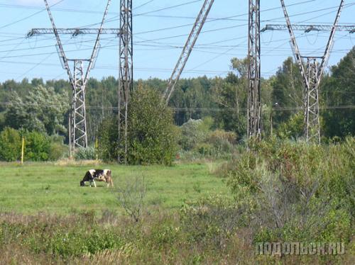 Окрестности поселка Львовский, Подольский район
