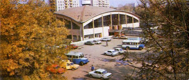1981 г.