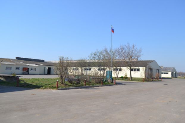 АПК «Никулино» принимает участие в конкурсе «Лучший Хозяин»