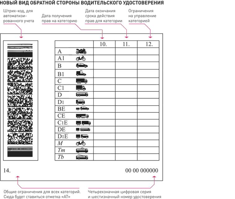 Новые правила водительских прав с 1 апреля. Обозначение категорий в водительском удостоверении. Категории водительских прав расшифровка обозначения. Расшифровка водительских категорий нового образца.