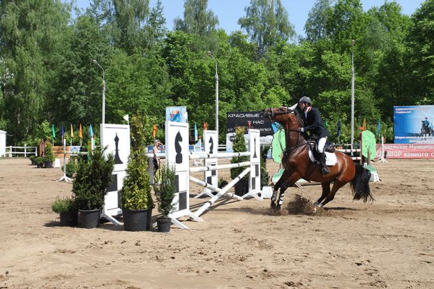 Чемпионат по конкуру прошел в «Фаворите»
