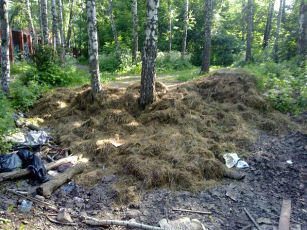 В "Березках" год назад