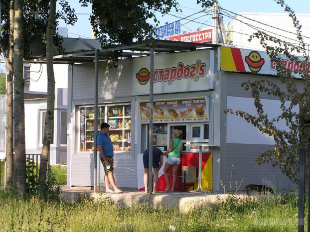 Стардогс