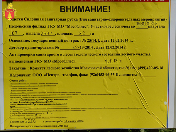 В Подольском районе вырубают пораженный короедом лес