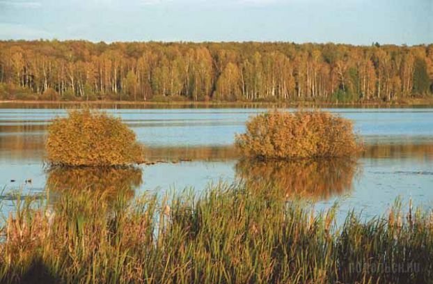 Заказник