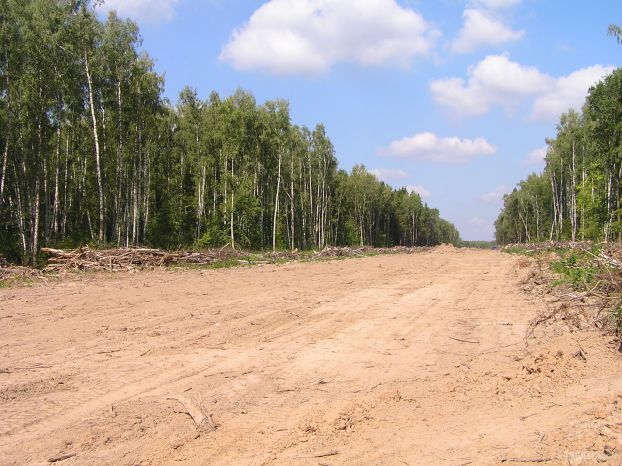 Строительство дороги