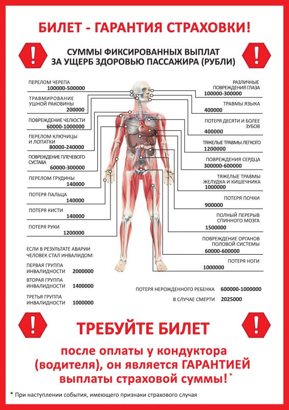 Пассажирский билет – гарантия страховки!