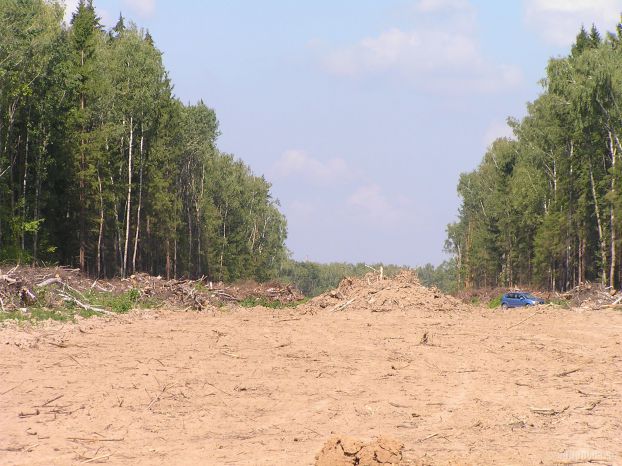 Строительство дороги в лесу