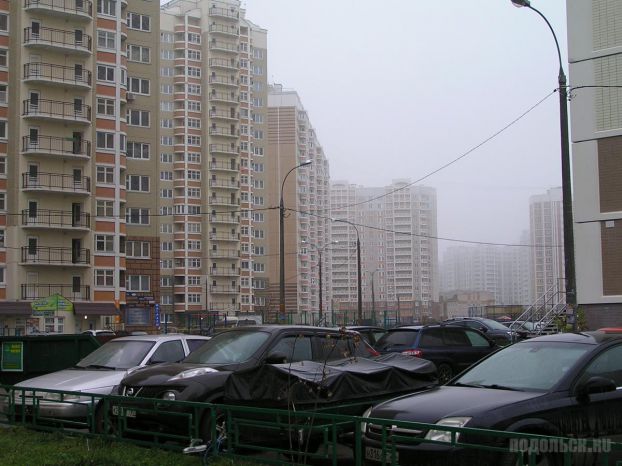 Кузнечики