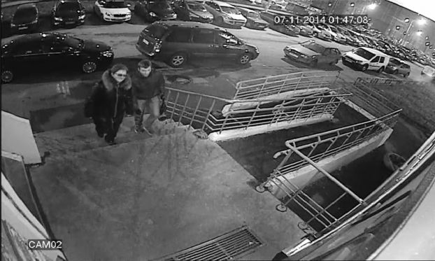 Cовершена серия краж подставок для цветов