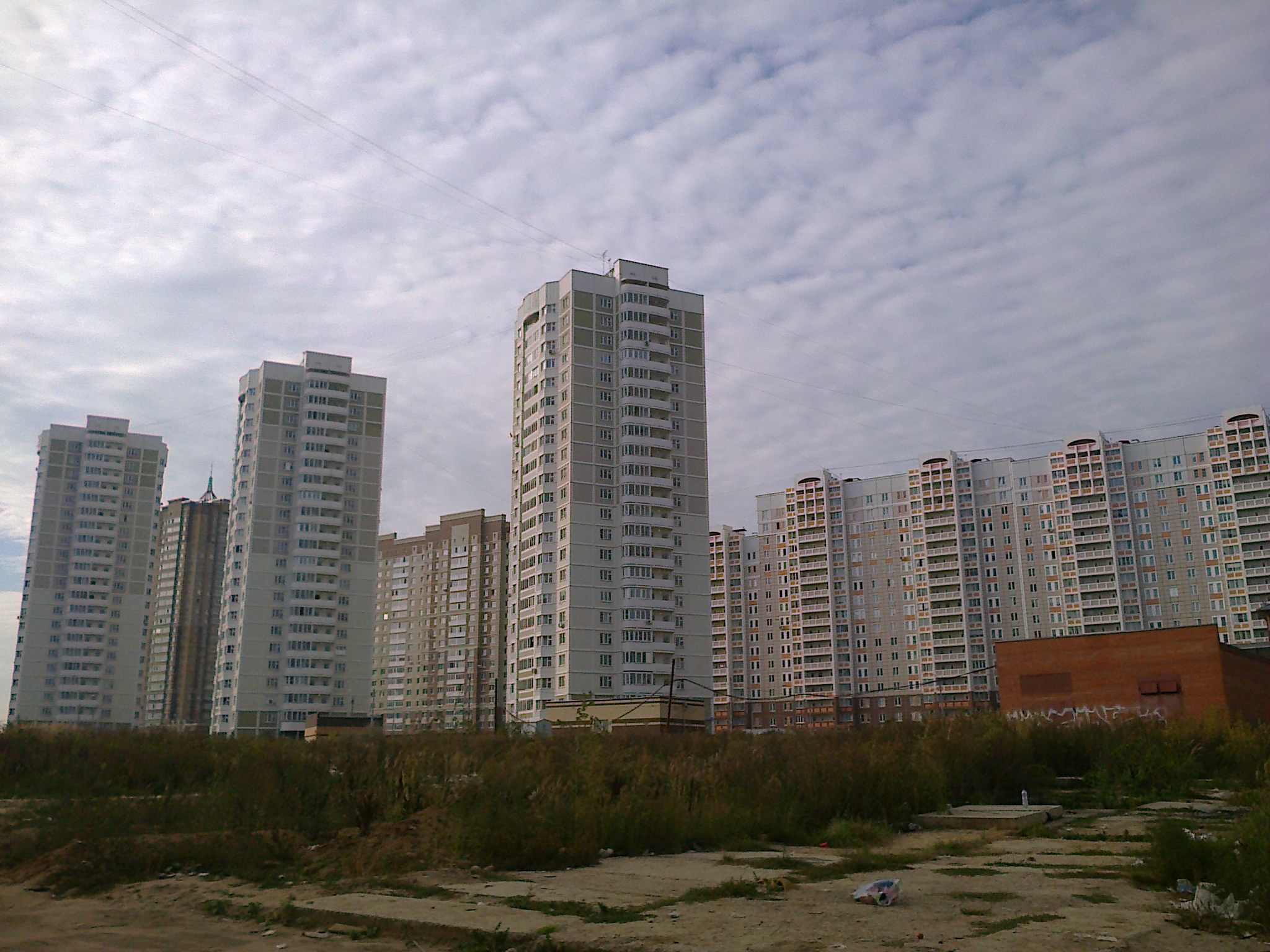 Подольск кузнечики