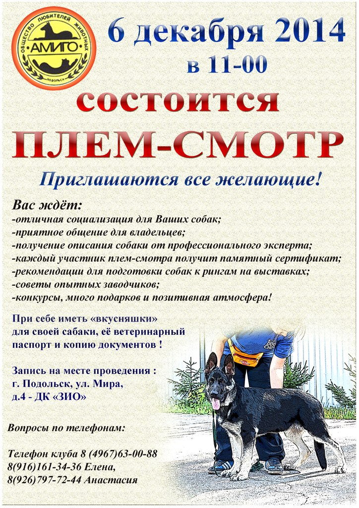 Клубы для собак