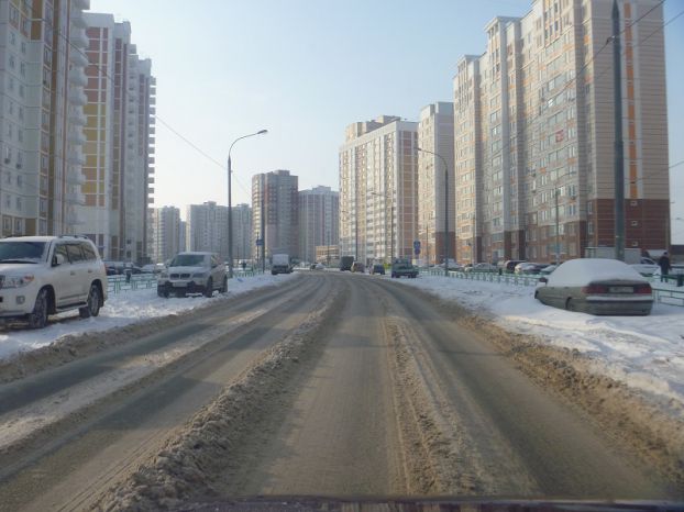 Кузнечики