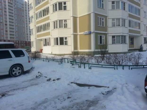 Кузнечики