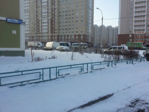 Кузнечики