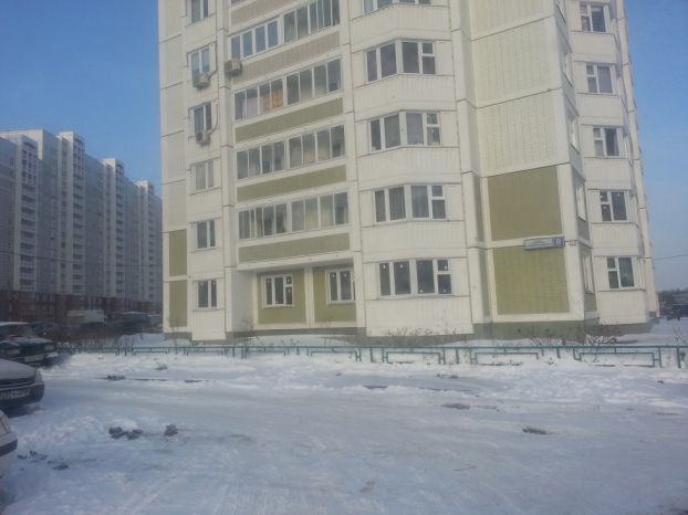 Кузнечики