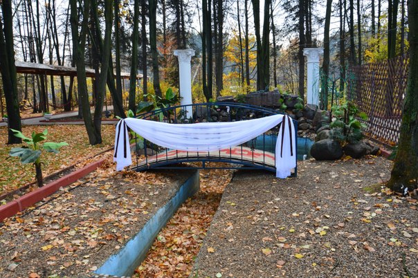 Ресторан «Александрия» потребовали снести за нарушение правил лесопользования 