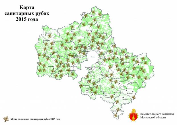 Места санитарных рубок 2015 г.