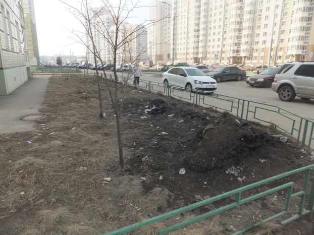 Кузнечики
