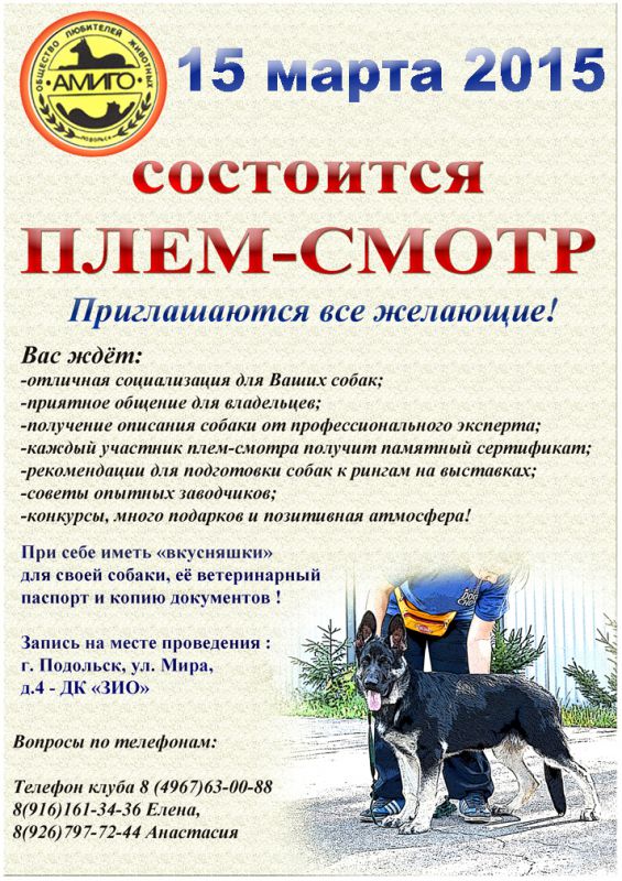 Афиша