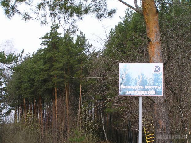 Увеличение штрафов не решит проблему лесных пожаров 