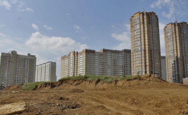 Кузнечики