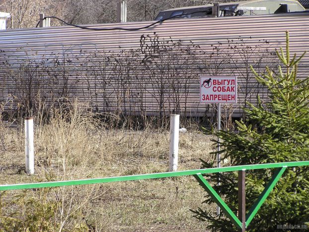 Выгул собак запрещен