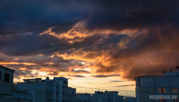 Кузнечики