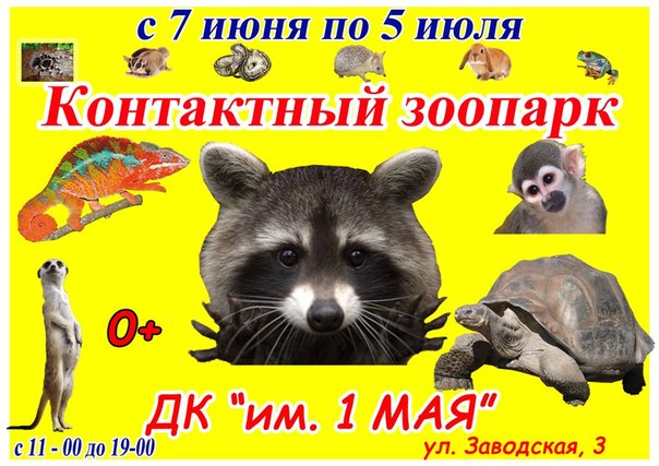 Афиша