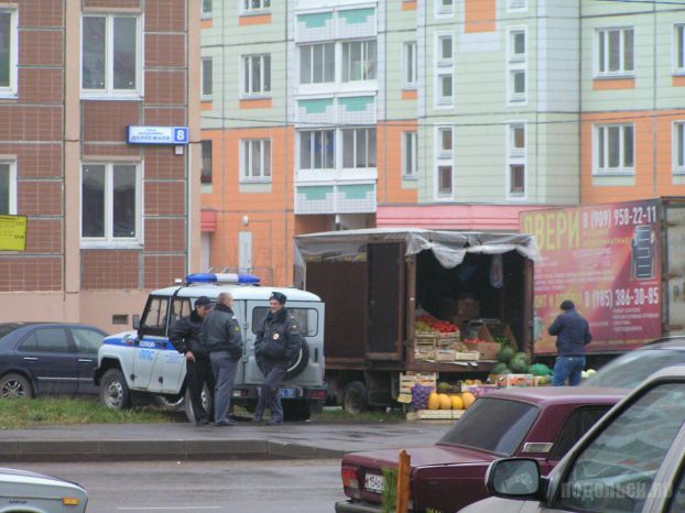 Полиция в Кузнечиках
