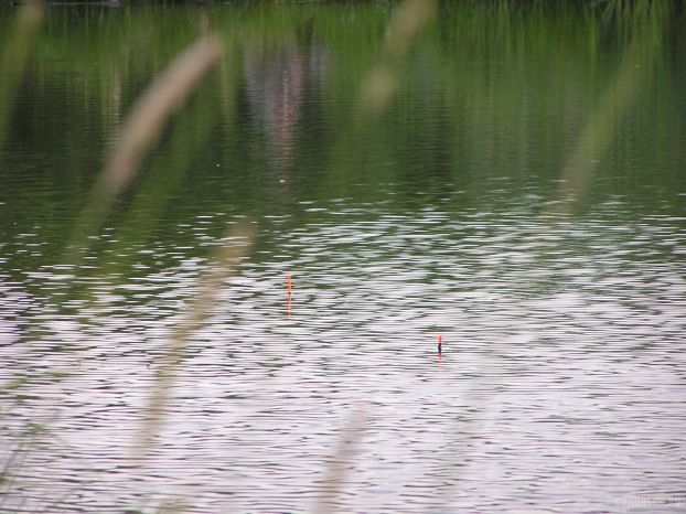 Водоем