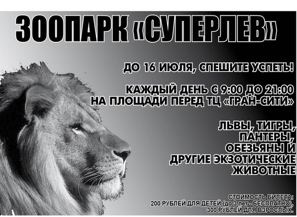 Афиша