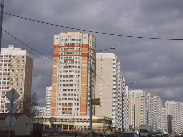 Кузнечики
