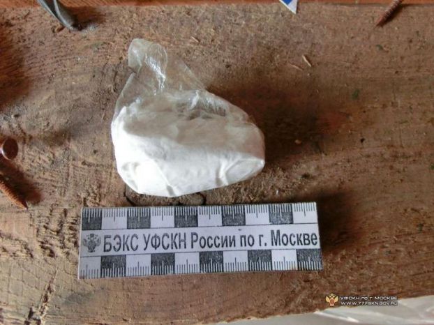 Притон на дачном участке в поселении Рязановское